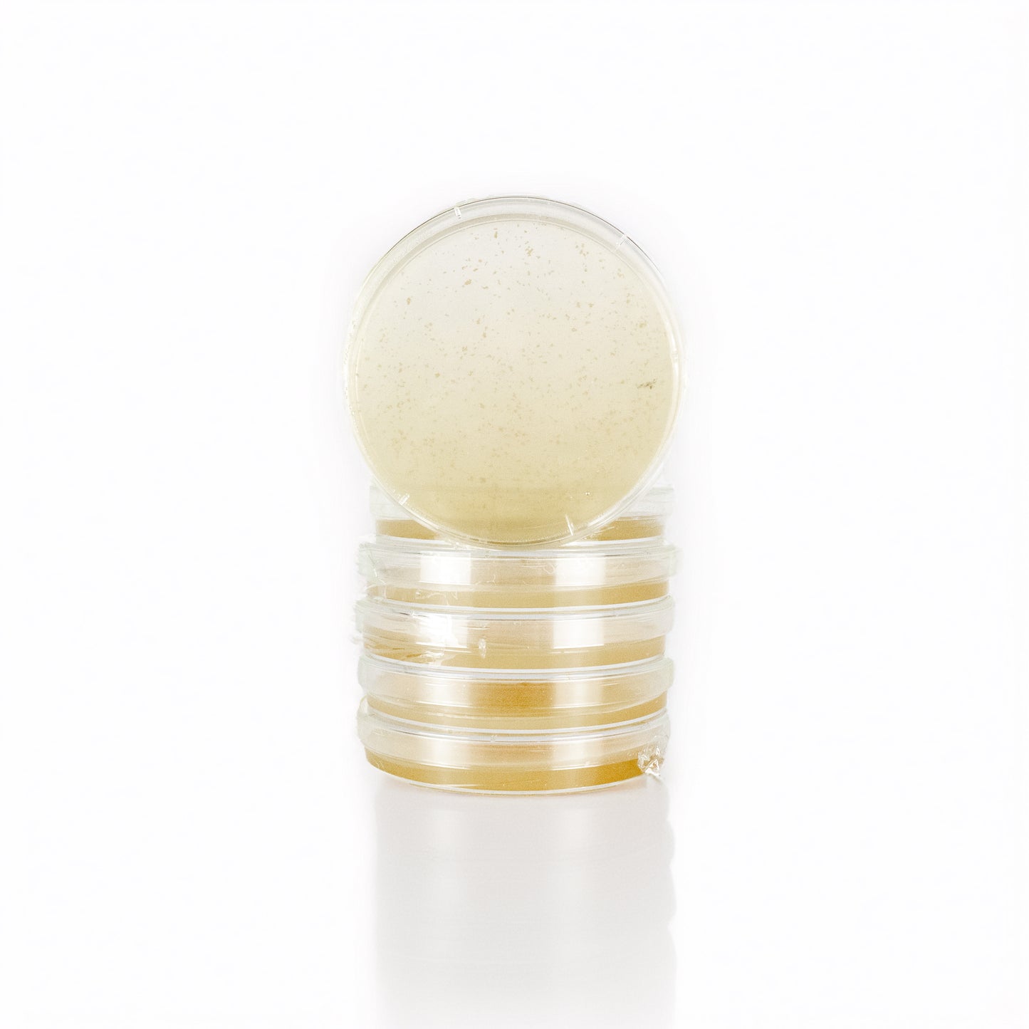 Steriliziran agar