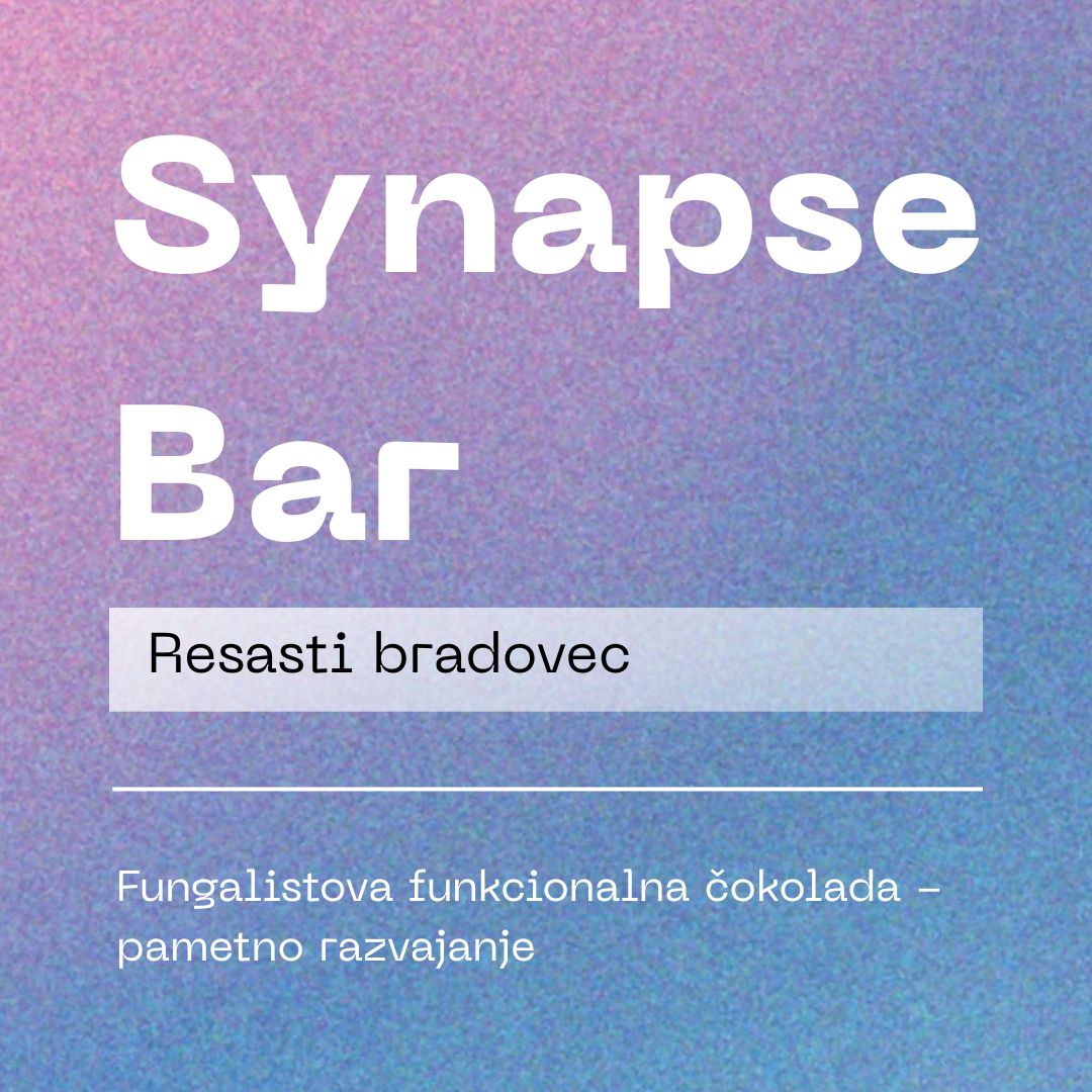Synapse bar, funkcionalna temna čokolada - Resasti bradovec