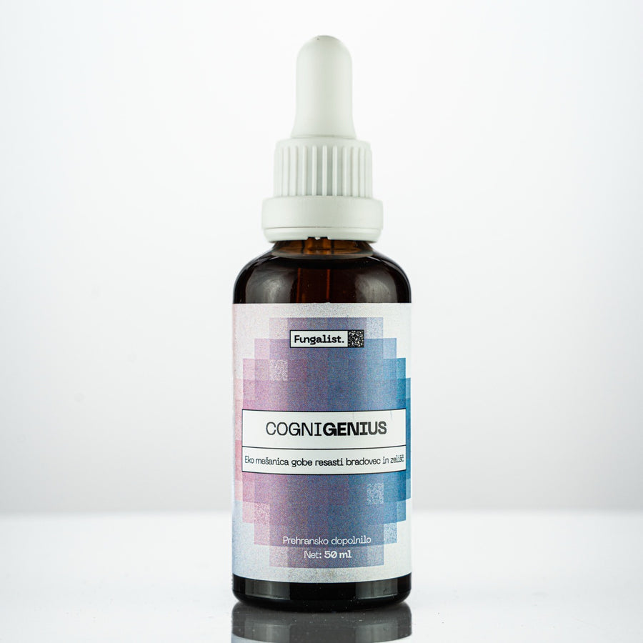 Resasti bradovec tinktura z ginsengom in gotu kolo | Cognigenius EKO