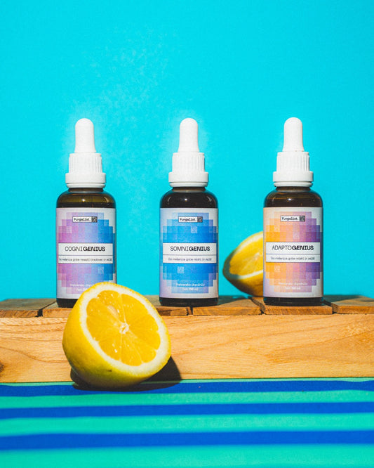 Genius paket – Adaptogenius, Cognigenius in Somnigenius EKO