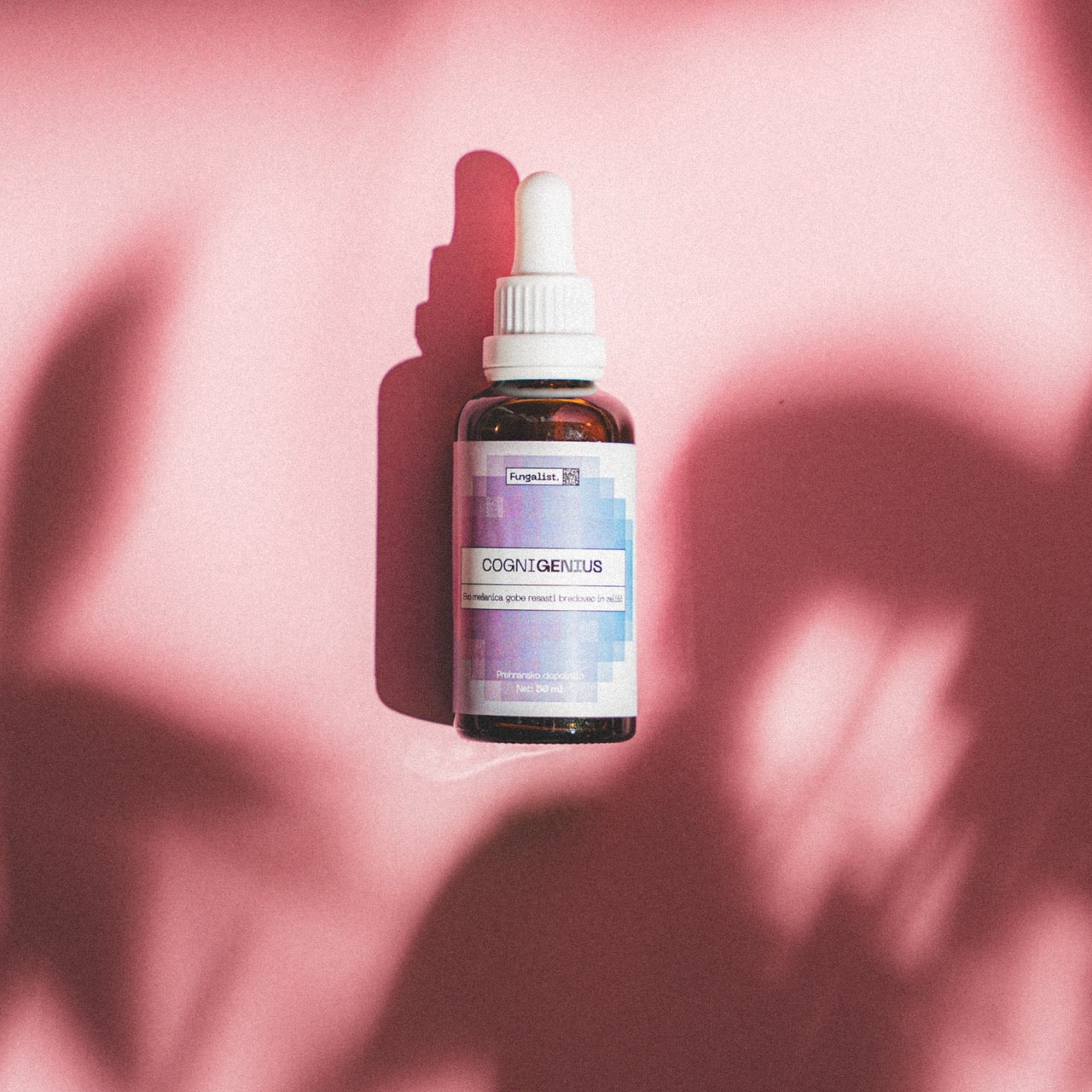 Resasti bradovec tinktura z ginsengom in gotu kolo | Cognigenius EKO