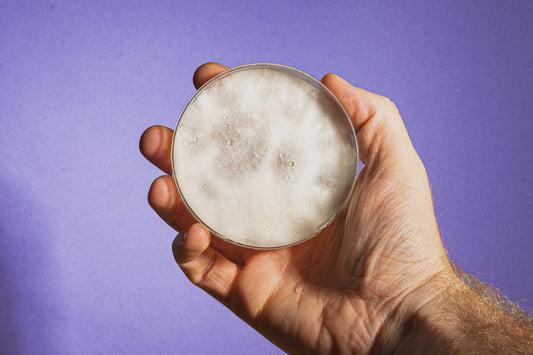 Steriliziran agar