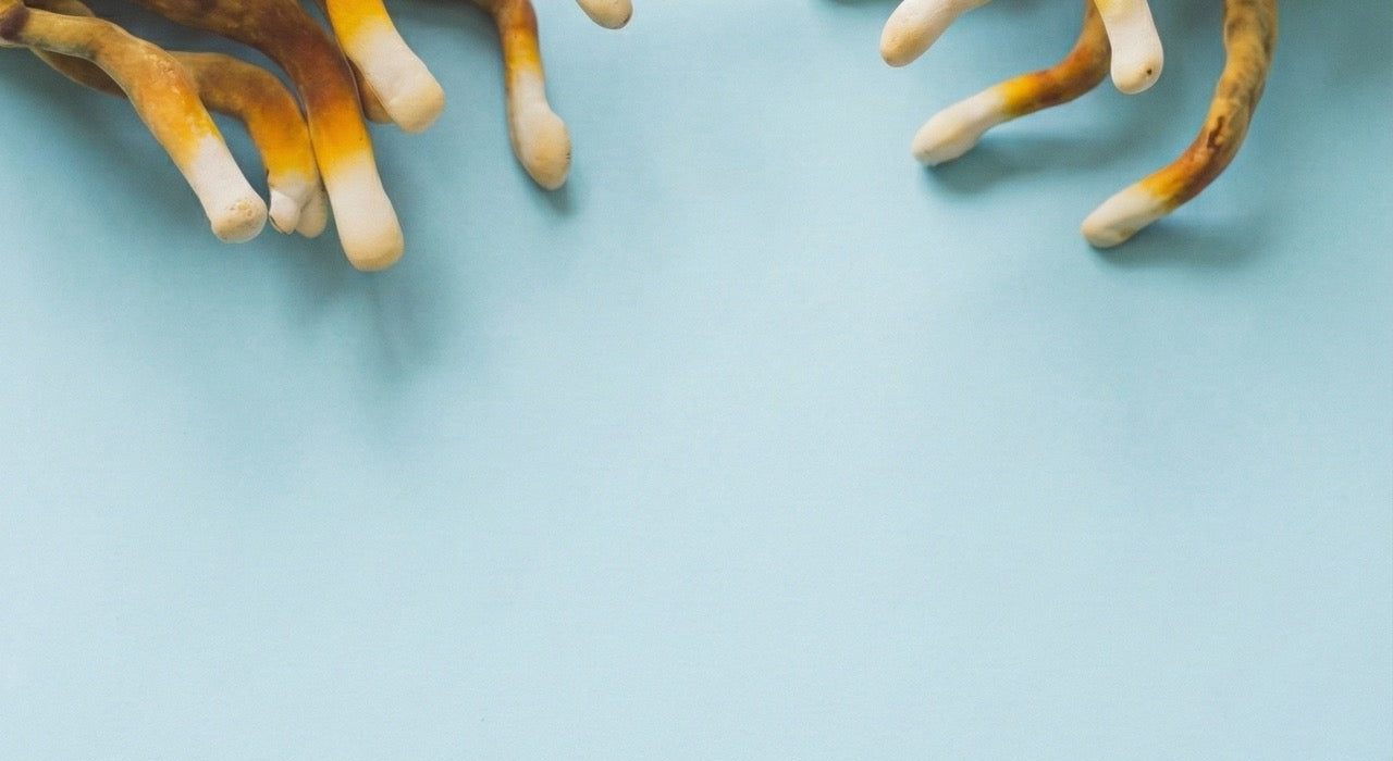 Gemini_Generated_Image_2bna5j2bna5j2bna Large.jpeg