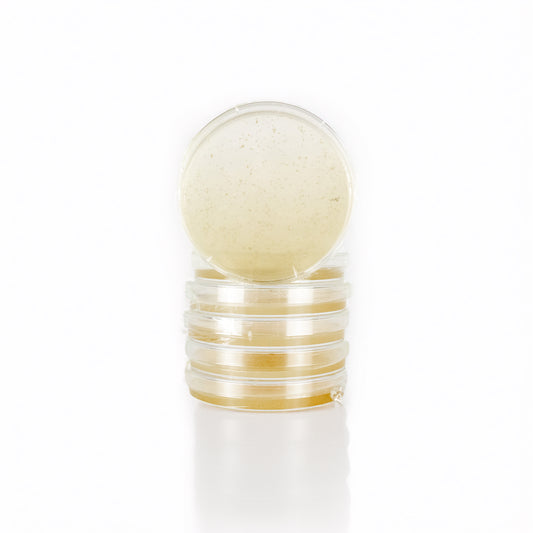 Steriliziran agar